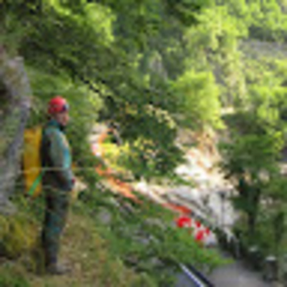 Meet your Posher, Amanda - Picture 1 of 1